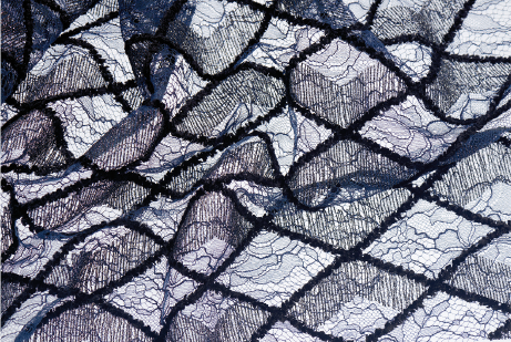 Dentelle Lace cheverny