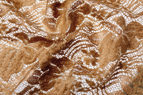 Dentelle Lace coubertin