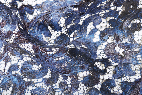 Dentelle Lace developpement-iv