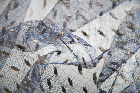 Dentelle Lace fozieres