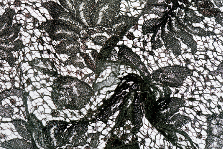 Dentelle Lace occitan