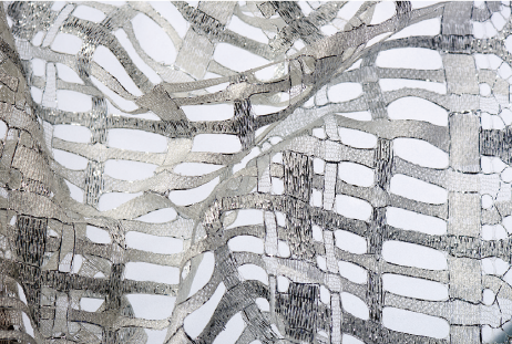 Dentelle Lace rimouski