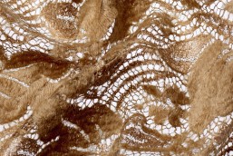 Darquer dentelle