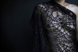 darquer-rumigny-spider-2